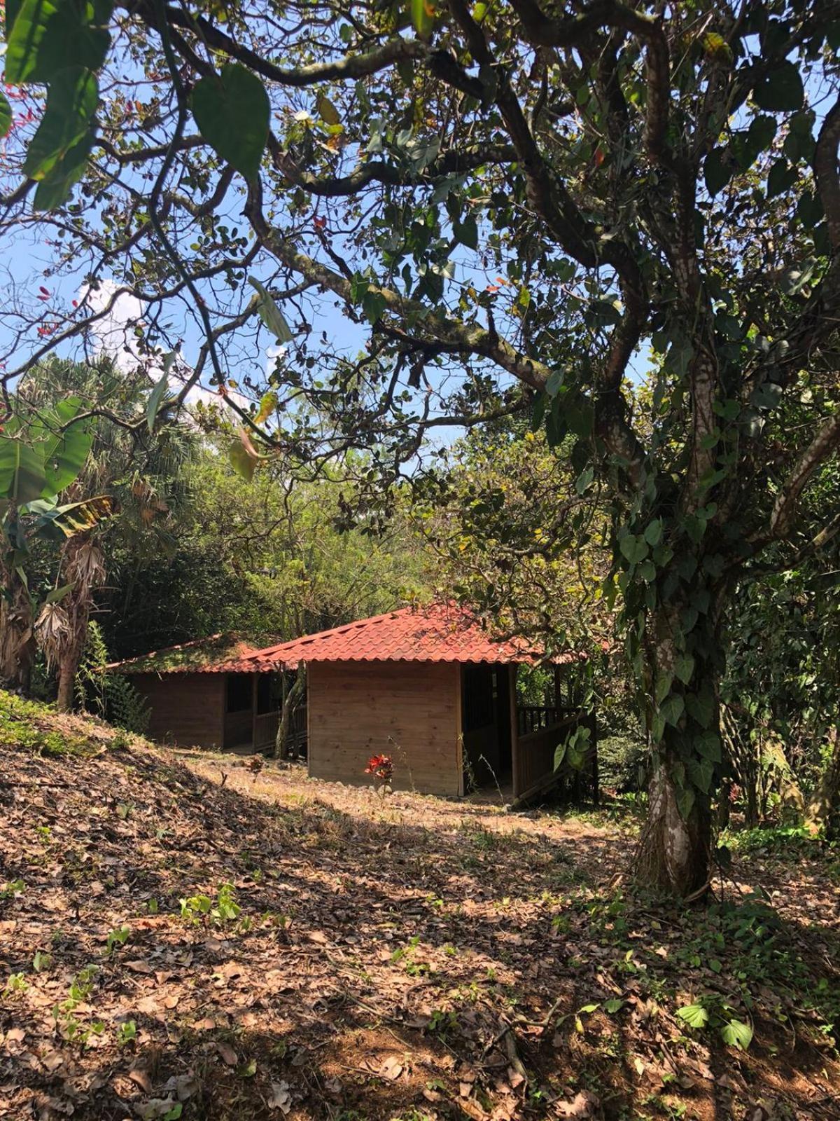Serenity By Nature Carrillos Exterior foto